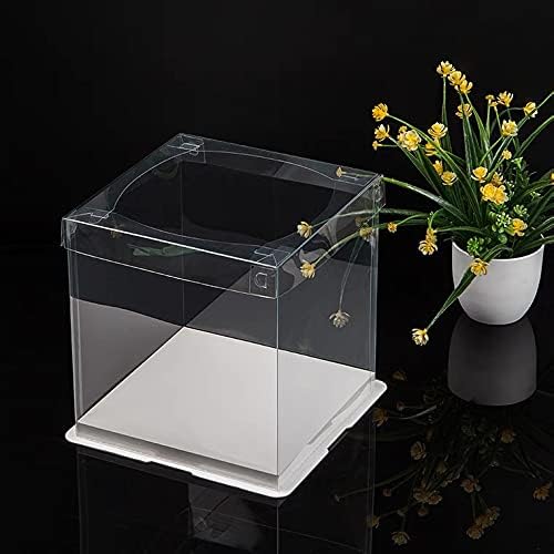 8x8x9 Inch Clear Cake Box Transparent White Tall Layer with clear lid