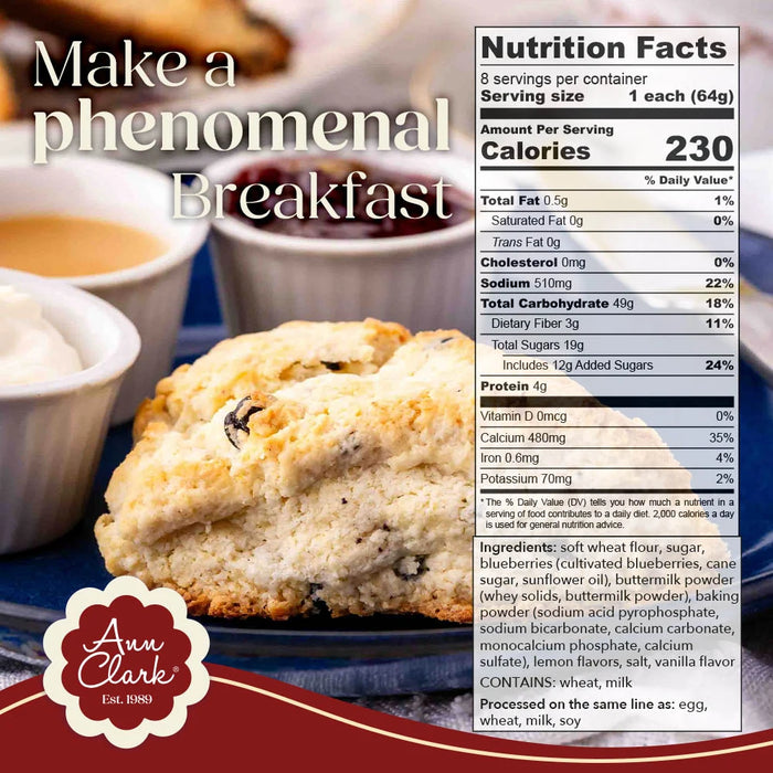 Ann Clark Lemon Blueberry Scone Mix – Gourmet Blueberry Lemon Baking Mix with Real Blueberries