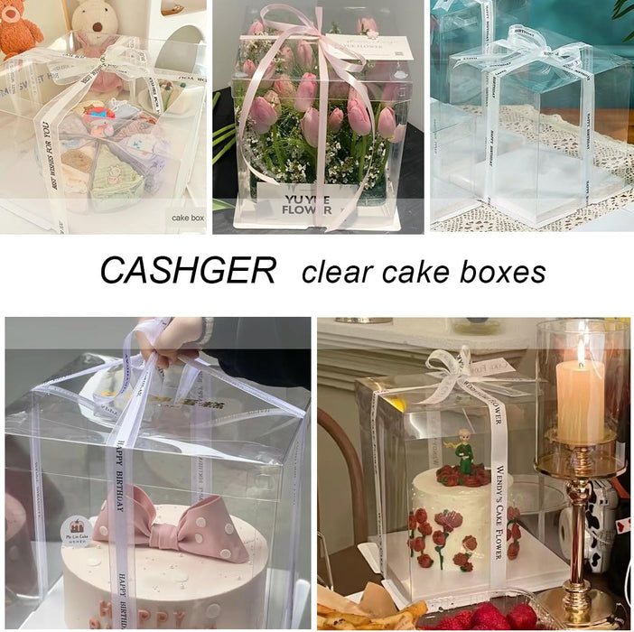 10x10x12 Inch Clear Cake Box Transparent White Tall Layer with clear lid