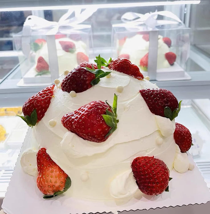 12x12x10 Inch Clear Cake Box Transparent White Tall Layer with clear lid