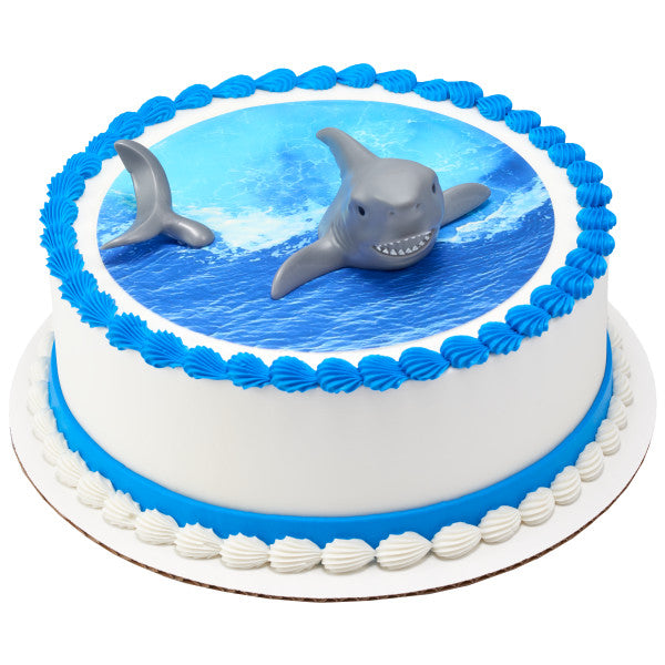 Buy/Send 2 Tier Shark Themed Birthday Cake Online » Free Delivery In Delhi  NCR » Ryan Bakery