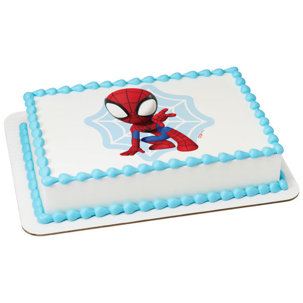 Marvel Spidey and His Amazing Friends Spidey Web Edible Cake Image PhotoCake