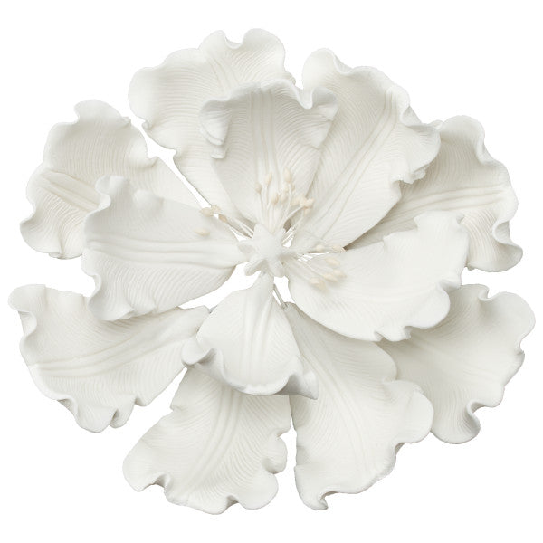 White Peony Gum Paste Flowers Decorations 6 package