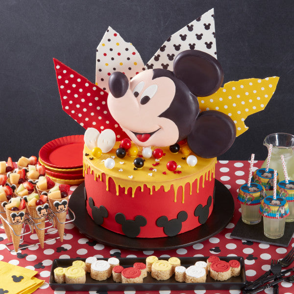 Wilton Aluminum Mickey Minnie Mouse Cake Pan