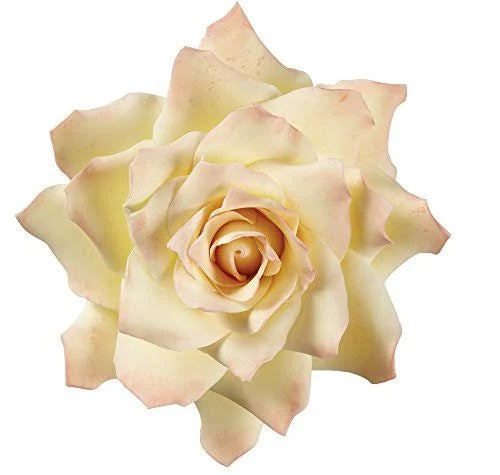 wilton succulent Wilton Gum Paste Cut Outs