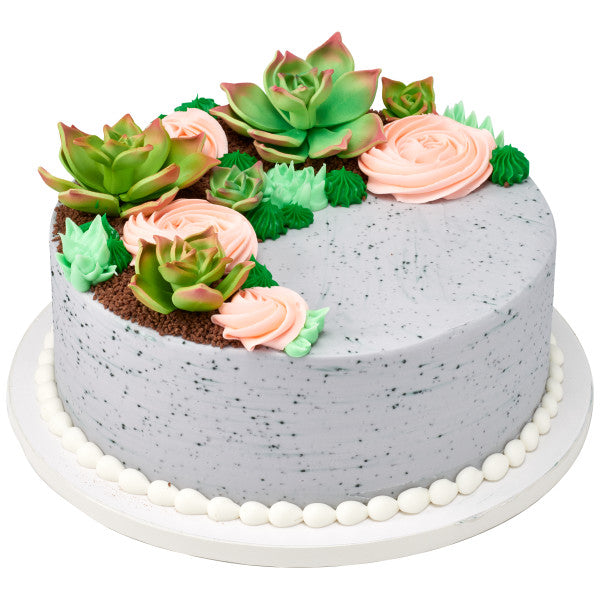 gumpaste succulents Green Succulents Gum Paste Flowers